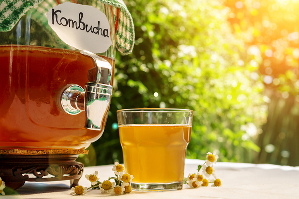 Kombucha 101: What It Is, How It's Made, and Why It's Beneficial