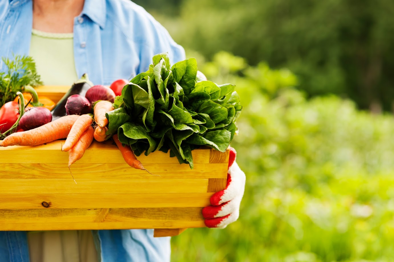 Amazing Benefits of Carrots